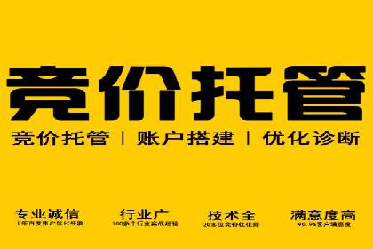 服装品牌SEM外包服务的市场推广案例